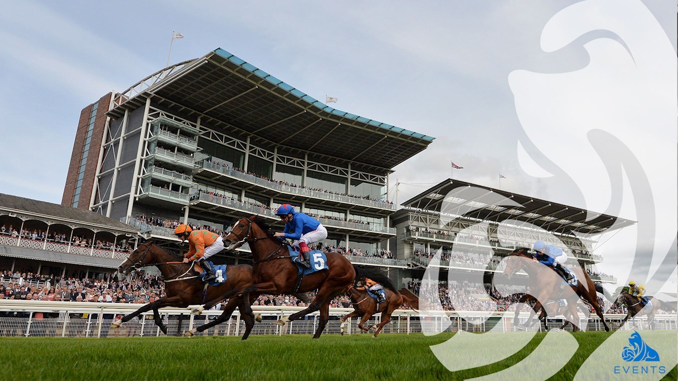 ENJOY A DAY AT THE RACES WITH TOWN - News - Huddersfield Town